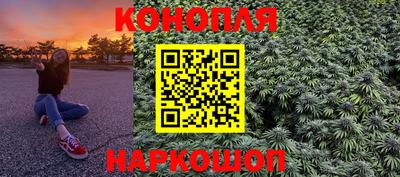 индика Моздок