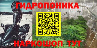 индика Моздок