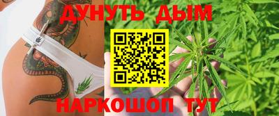 индика Моздок