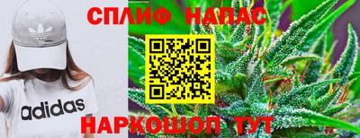 COCAINE Можга
