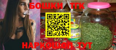 индика Моздок