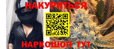 индика Моздок