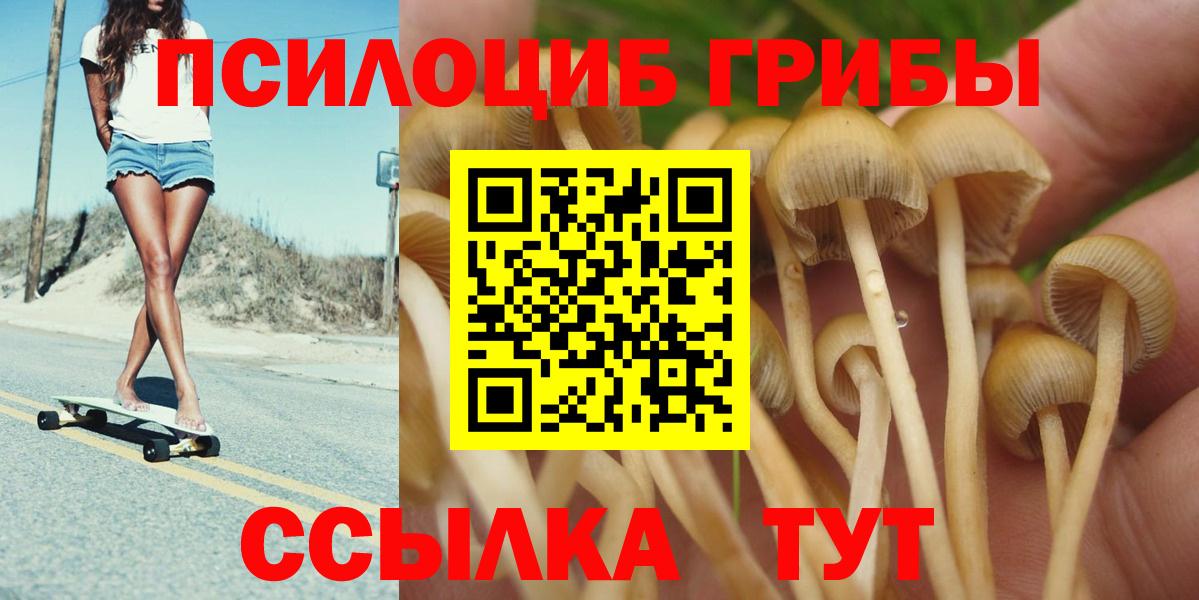 Галлюциногенные грибы мицелий Заринск