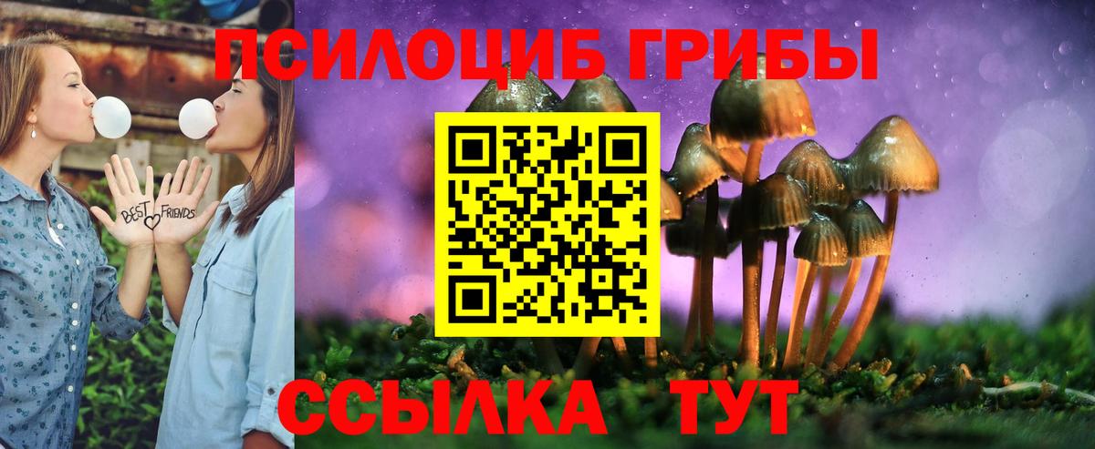 Псилоцибиновые грибы ЛСД  Вход с VPN  Заринск  Псилоцибиновые грибы Magic Shrooms 