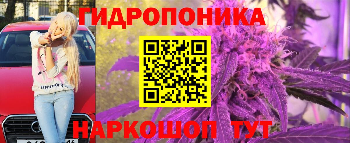 Заринск  Каннабис сатива  Канабис THC 21%  Канабис Ganja  Вход с VPN  Канабис план 