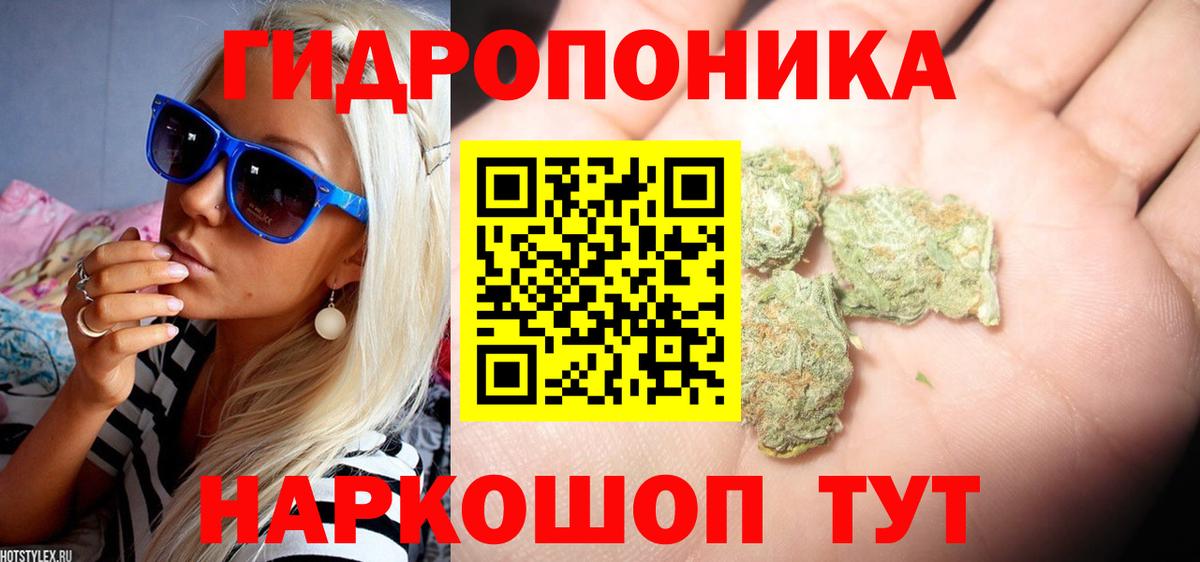 Канабис план Заринск